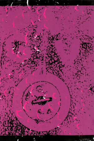 Screen Print